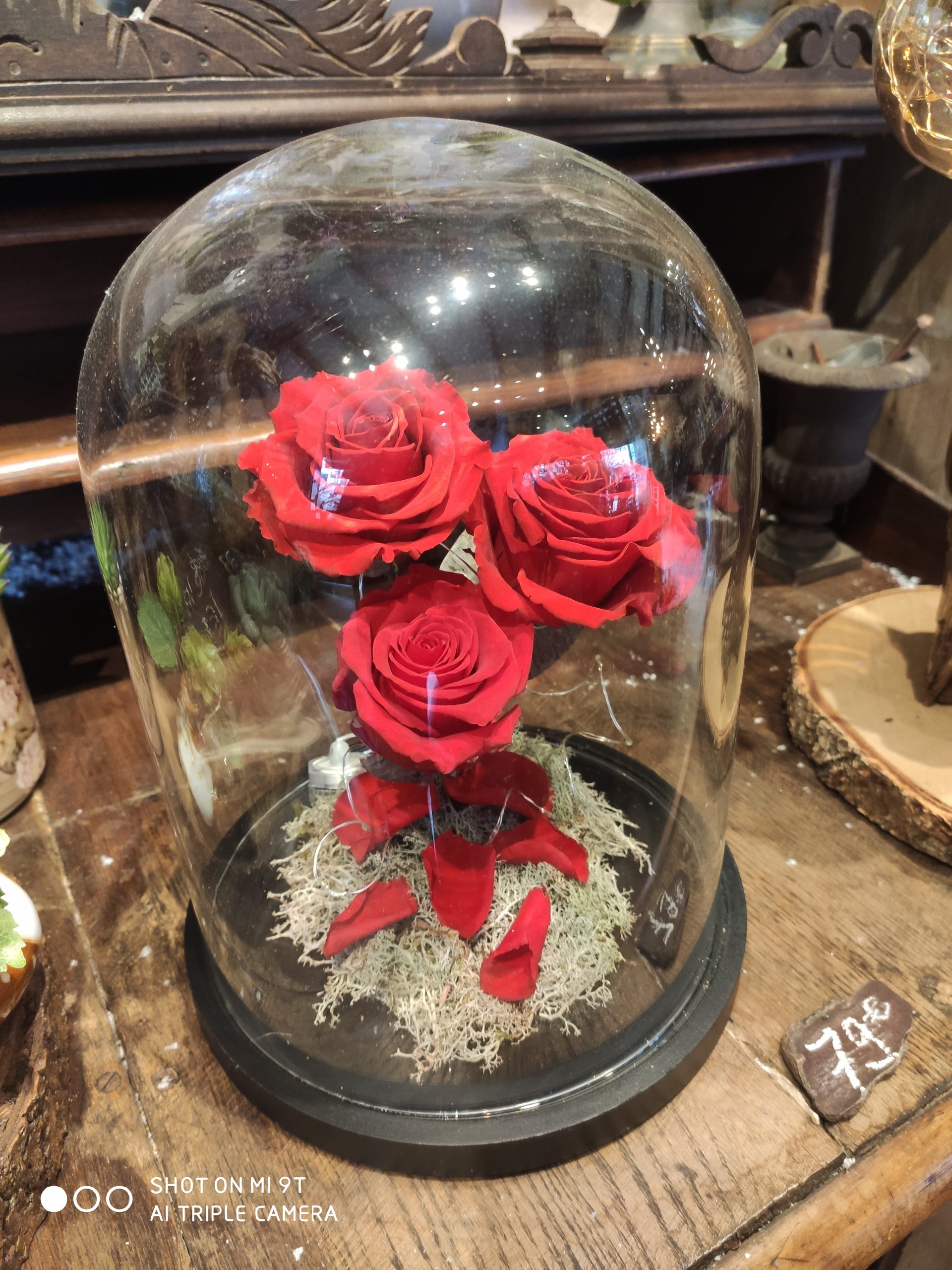Trois roses éternelles sous sa grande cloche – Passion Fleurs